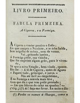 sadacosta-2103sb020_2.jpg