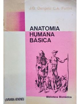 sadacosta-2104sb119_1.jpg