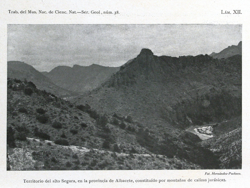 sadacosta-2105jl010_2.jpg