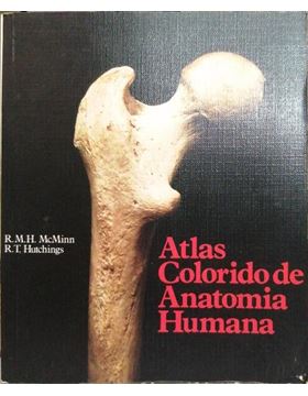 sadacosta-2107ma261_1.jpg