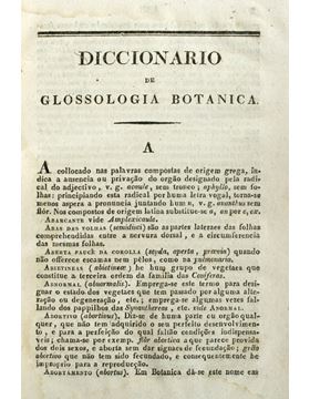 sadacosta-2108js315_2.jpg