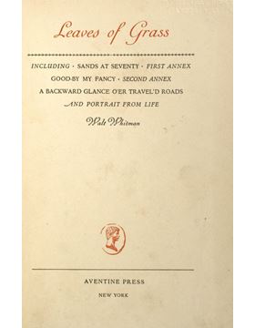 sadacosta-2108js436_1.jpg