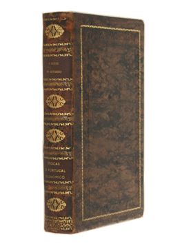sadacosta-2108rs806_4.jpg