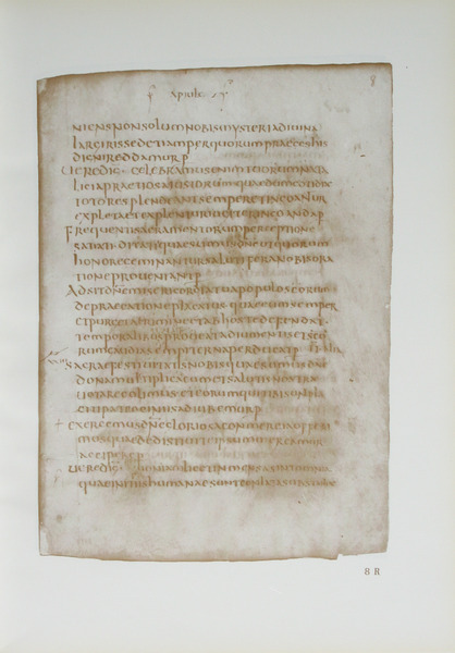 sadacosta-2109js477_2.jpg