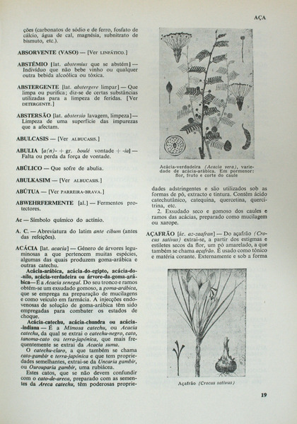 sadacosta-2109ma516_2.jpg