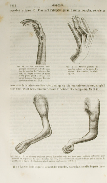 sadacosta-2110js134_2.jpg