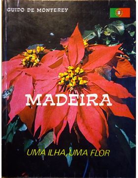 sadacosta-2110ma532_1.jpg