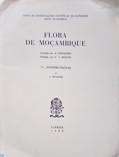 sadacosta-2111ma276_2.jpg