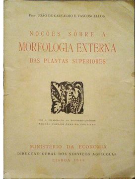 sadacosta-2112js190_1.jpg