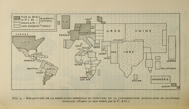 sadacosta-2202ir173_2.jpg