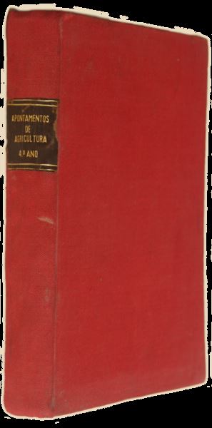 sadacosta-2202js072_4.jpg