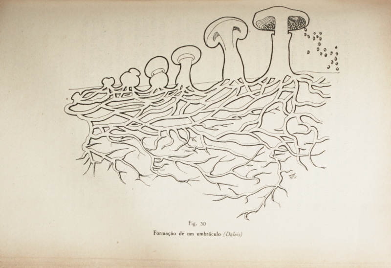 sadacosta-2202js083_2.jpg