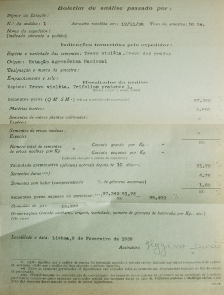 sadacosta-2202js221_2.jpg