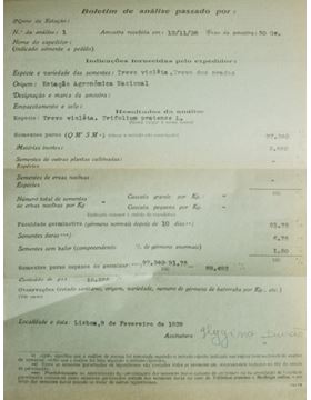 sadacosta-2202js221_2.jpg