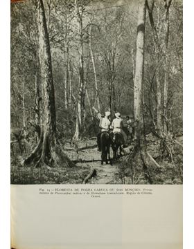 sadacosta-2202pa088_2.jpg