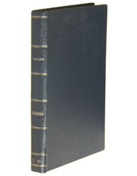 sadacosta-2203ir206_4.jpg