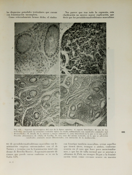 sadacosta-2203js027_2.jpg