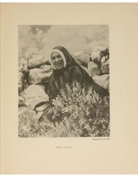 sadacosta-2207ir390_2.jpg