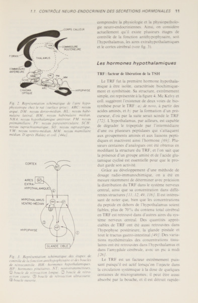sadacosta-2207js328_2.jpg