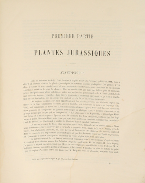 sadacosta-2208sb007_2.jpg