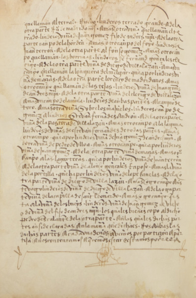 sadacosta-2209js336_2.jpg