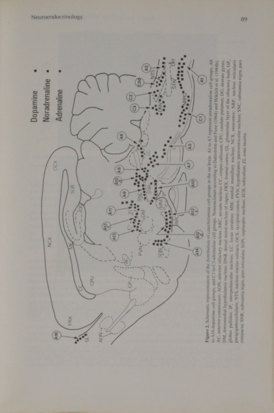 sadacosta-2211pa035_2.jpg