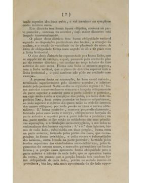 sadacosta-2211pg003_3.jpg