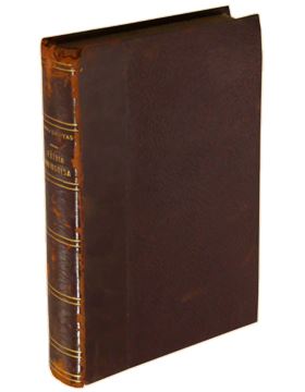 sadacosta-2211sb010_4.jpg