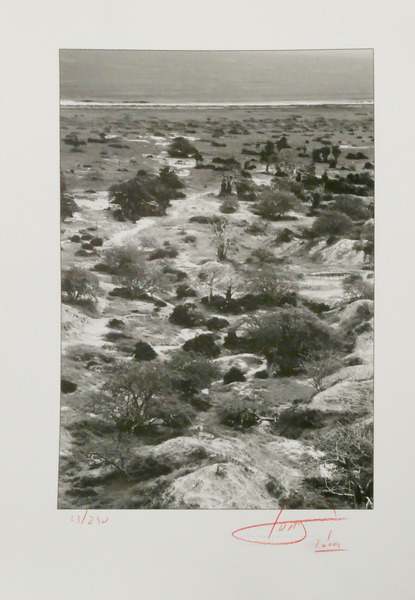 sadacosta-2212ac194_2.jpg