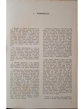 sadacosta-2212rs004_2.jpg
