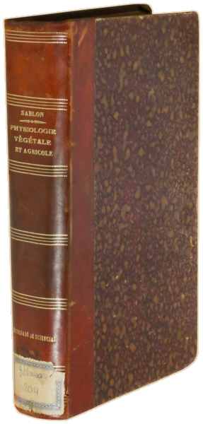 sadacosta-2301AC238_4.png