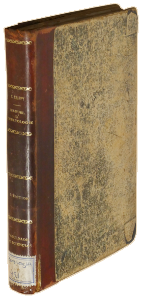 sadacosta-2301AC242_4.png