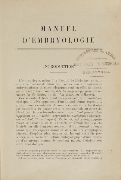 sadacosta-2301ac242_2.jpg