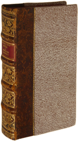 sadacosta-2302AC241_4.png