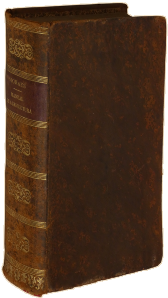 sadacosta-2302AC255_4.png