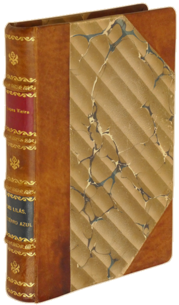 sadacosta-2302PA100_4.png