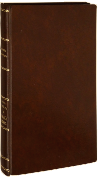 sadacosta-2303MA339_4.png