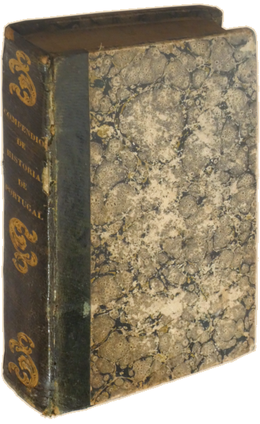 sadacosta-2303RS128_4.png