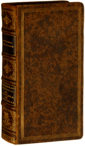 sadacosta-2303SB026_4.png