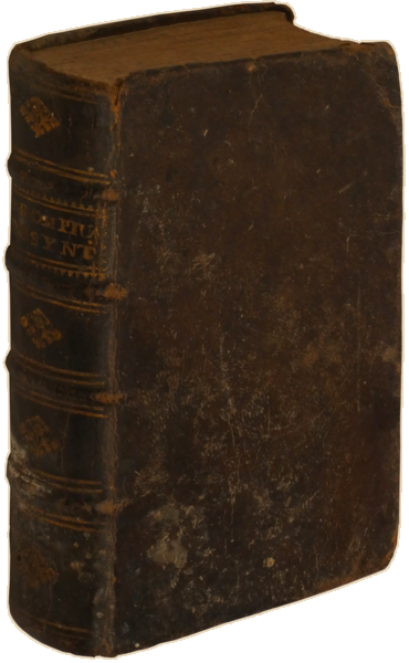 sadacosta-2303SB029_4.png