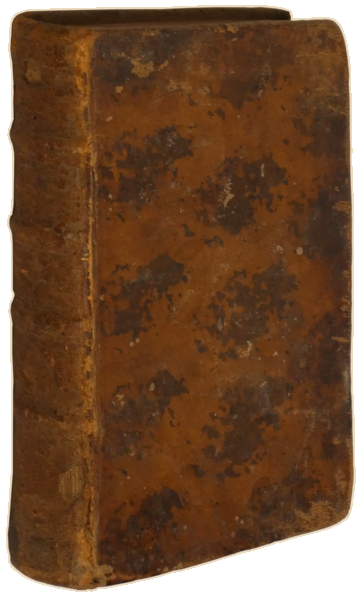 sadacosta-2303SB044_4.png