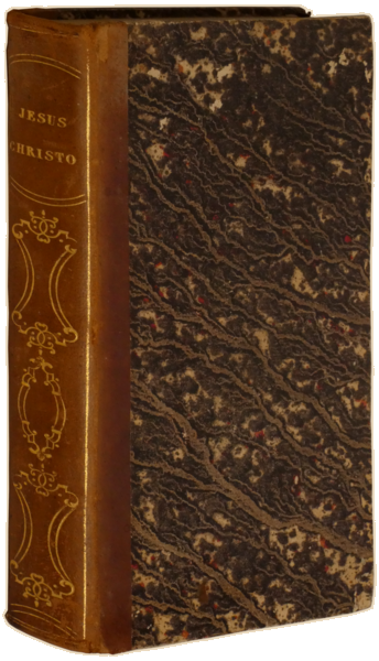 sadacosta-2303SB055_4.png