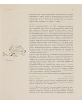 sadacosta-2303ac393_3.jpg