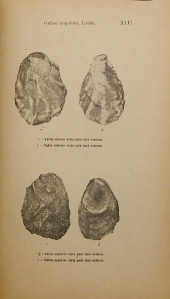 sadacosta-2303pg004_2.jpg