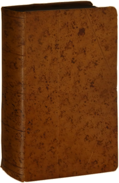 sadacosta-2304MA155_4.png