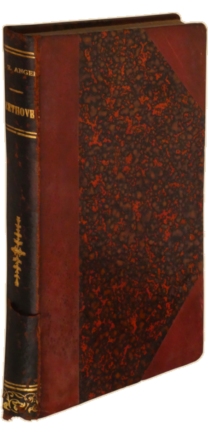 sadacosta-2304MA163_4.png