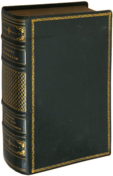 sadacosta-2304MA371_4.png