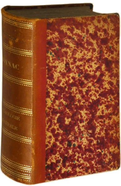 sadacosta-2304MA377_4.png