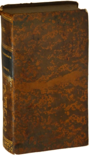 sadacosta-2304MA383_4.png