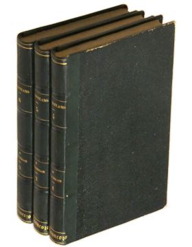 sadacosta-2304MA390_4.png